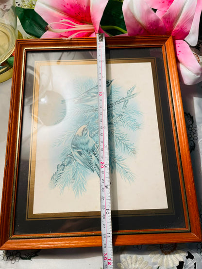 Blue Bird Framed Artwork Brown Frame Approx. 30 cm