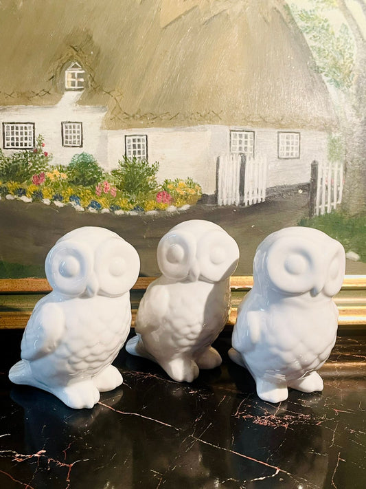 Ceramic White Owl Trio — Minimalist Decorative Figurines