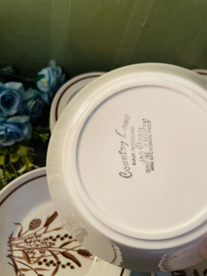 Country Lane J & G Meakin Botanical Tea Set 21 Piece