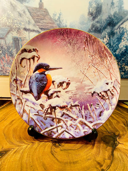 Wedgwood Winter Garden Bird Plate – Bone China England