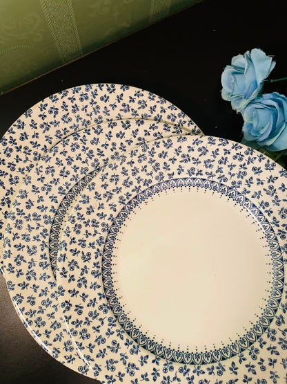 Vintage Blue Floral Dinner Plates Set Country Style
