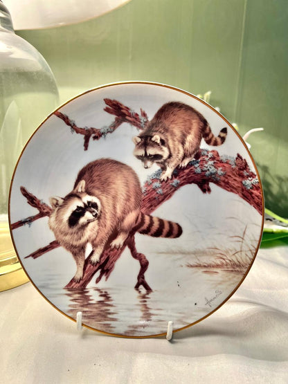The Collectors Studio Raccoons Decorative Plate 18cm