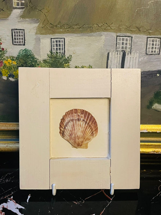 Vintage Matted Sea Shell – Wall Plaque, Wooden Frame Coastal Wall Décor in Pakistan