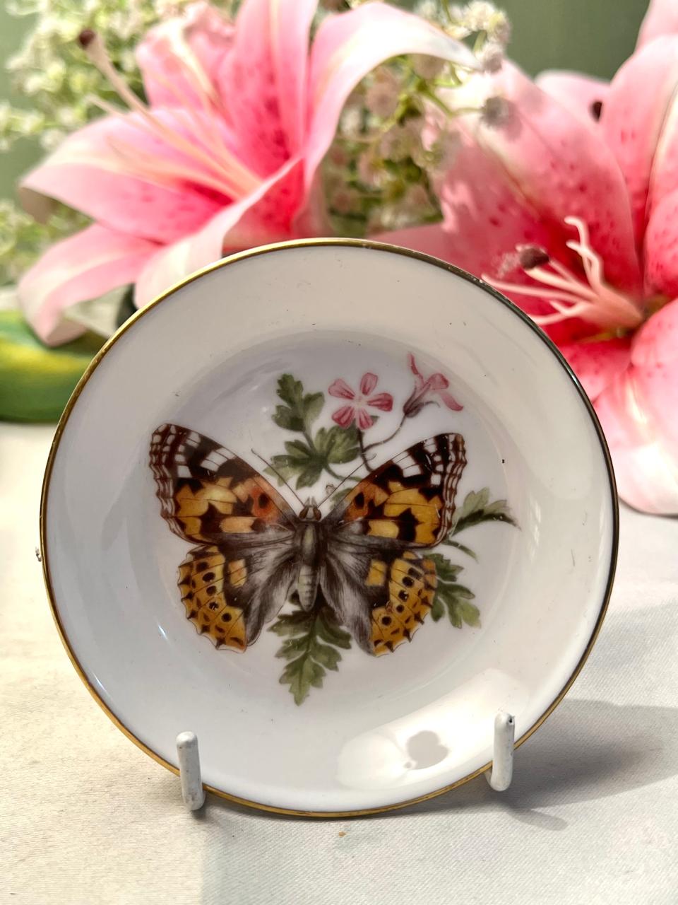Royal Worcester “Butterflies” Fine Bone China Mini Plate Approx. 10 cm