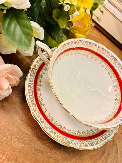 Salisbury Sarum Bone China Soup Cup & Saucer
