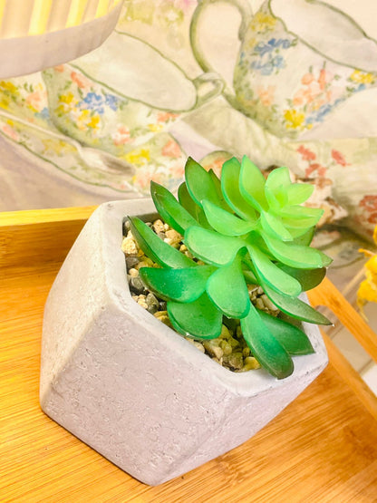 Artificial Succulent in Concrete Pot – Faux Plant for Home Decor