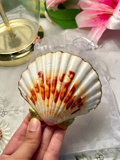 Vintage Rose Shell-Shaped Dish with Gold Trim Approx. 10 cm