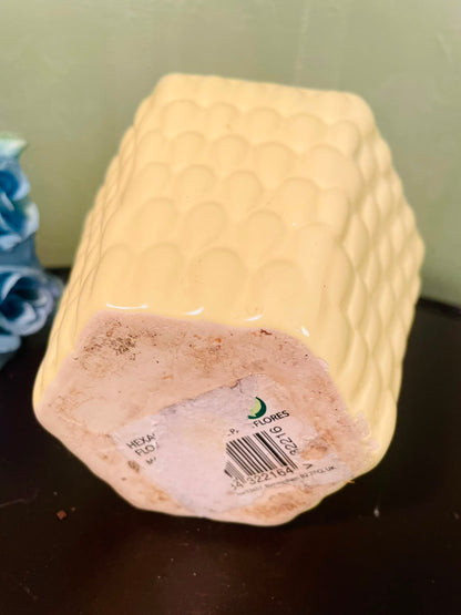 Yellow Textured Ceramic Square Plant Pot – 4 Inch