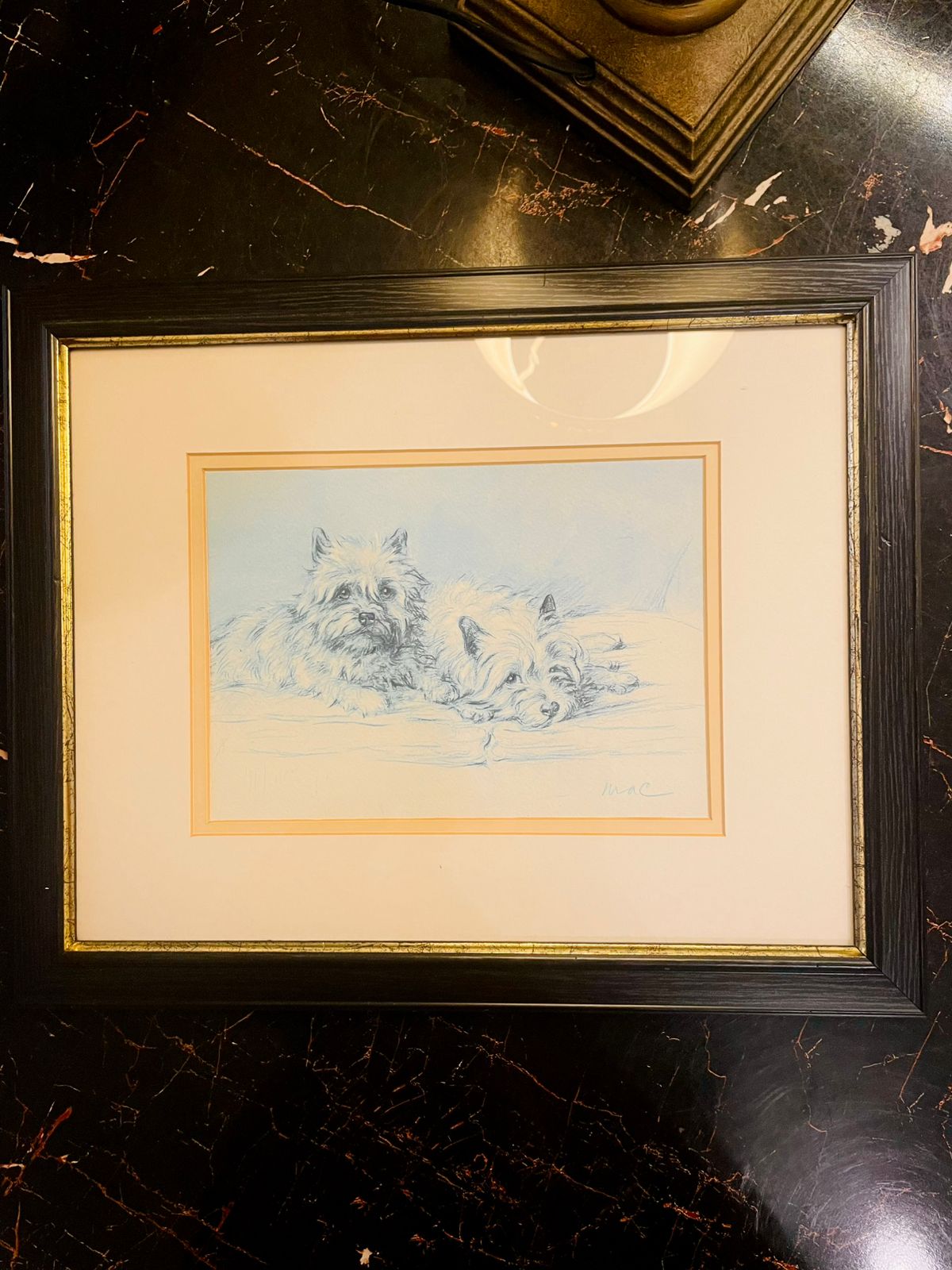 Vintage Dog Sketch Framed Art – Classic Pet Illustration