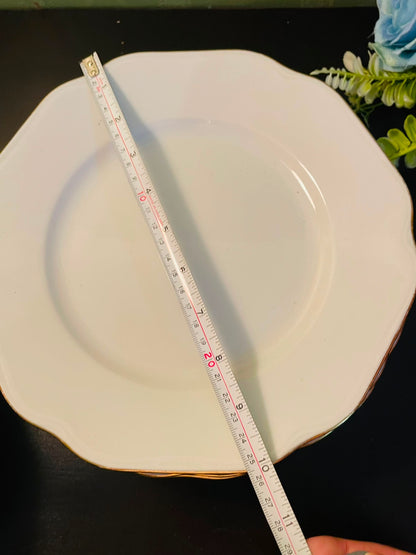 10 pcs White Porcelain Dinner & Quarter Plates Set Gold Trim