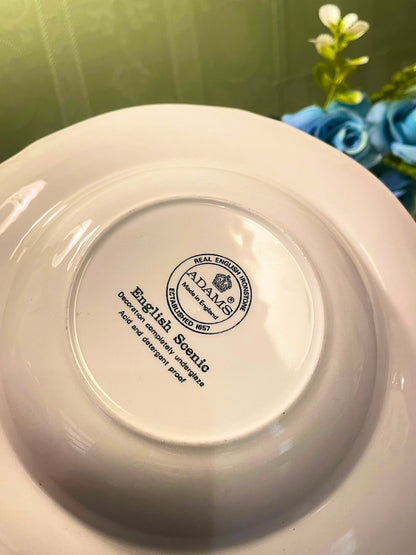 Adams English Scenic Pink Ironstone Plate 6 Inch