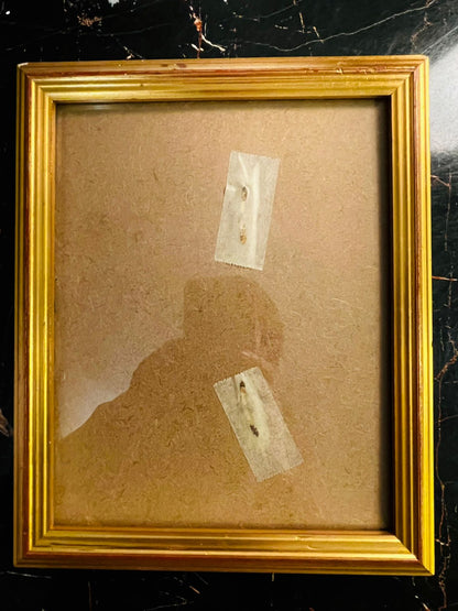 Vintage Gold Picture Frame by Studio 18 Jersey