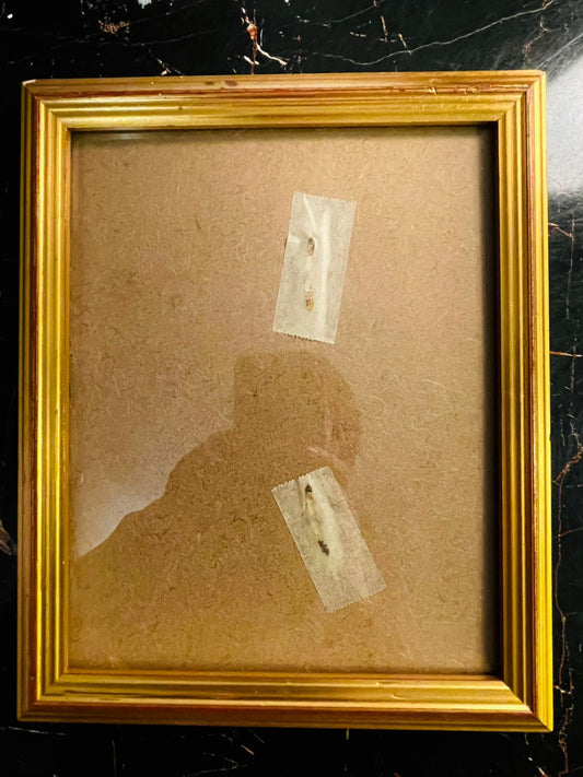 Vintage Gold Picture Frame by Studio 18 Jersey