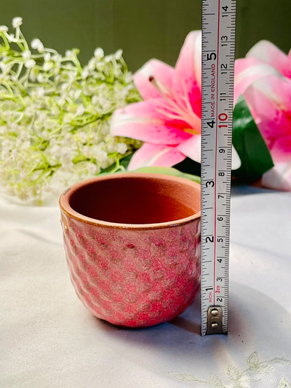 Pink Textured Terracotta Ceramic Planter – 3 Inch