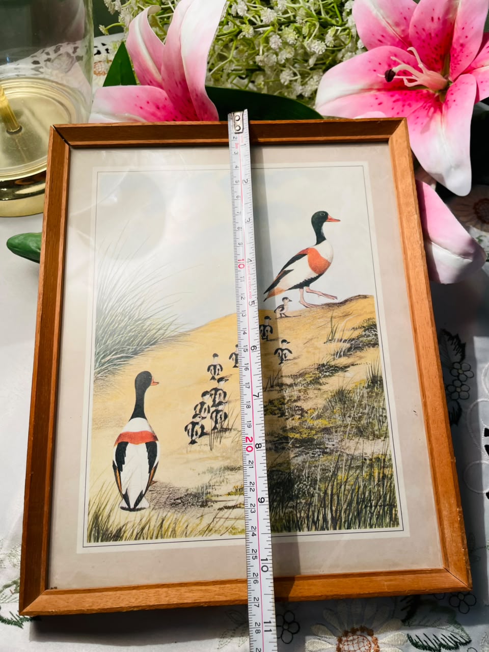 Waterbird Family Framed Print Wooden Frame Approx. 27 cm