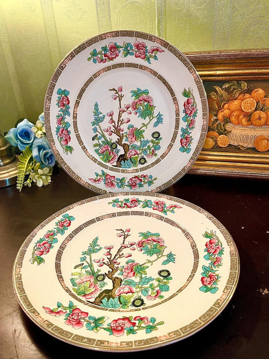 Vintage Pink Floral Chinoiserie Decorative Plate 24 cm