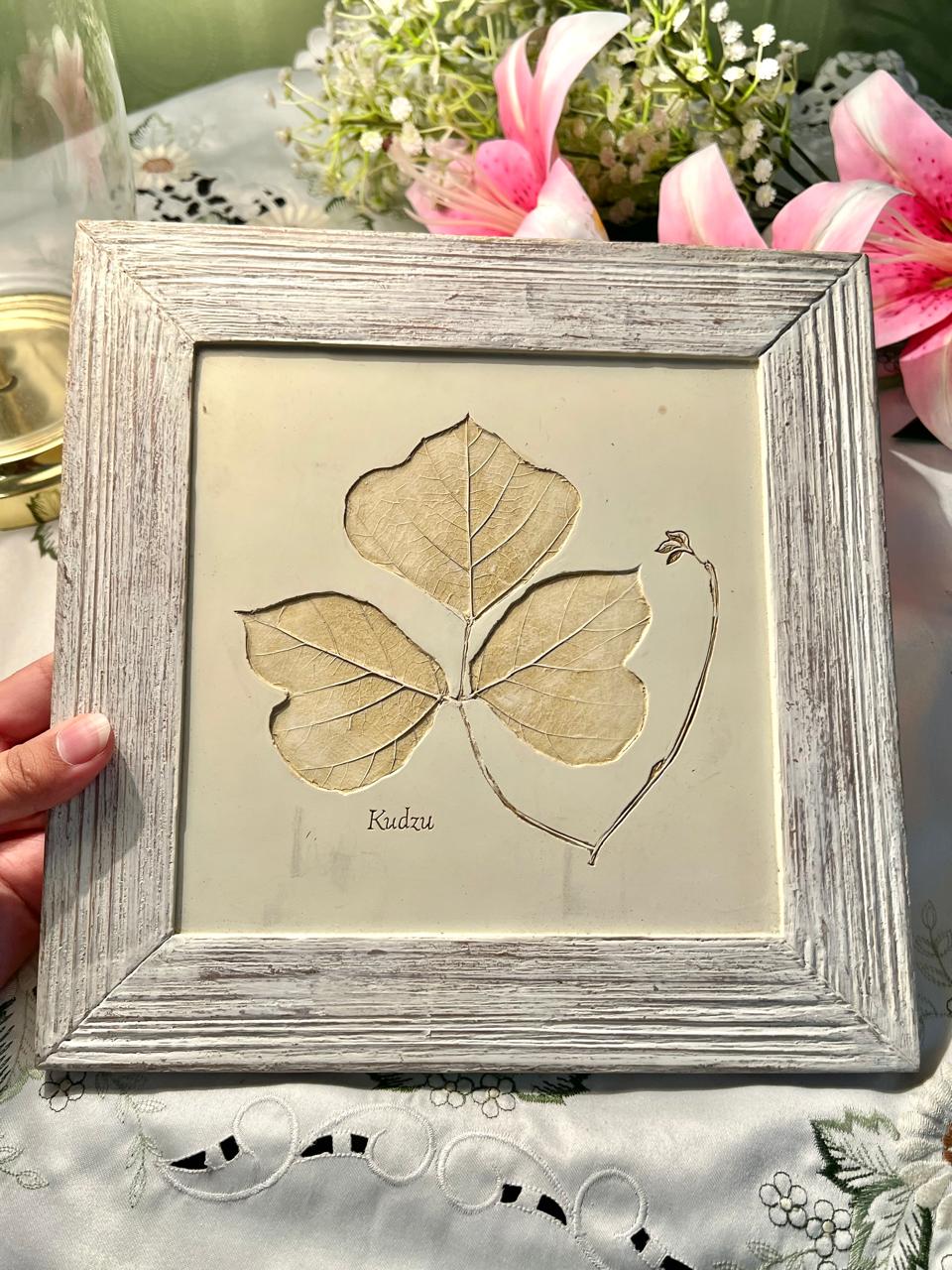 Kudzu Botanical Framed Leaf Artwork 10"