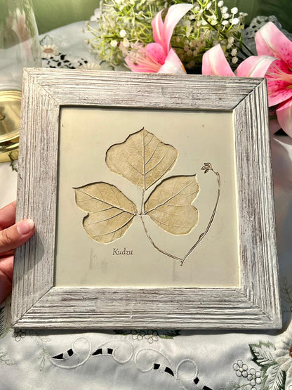 Kudzu Botanical Framed Leaf Artwork 10"