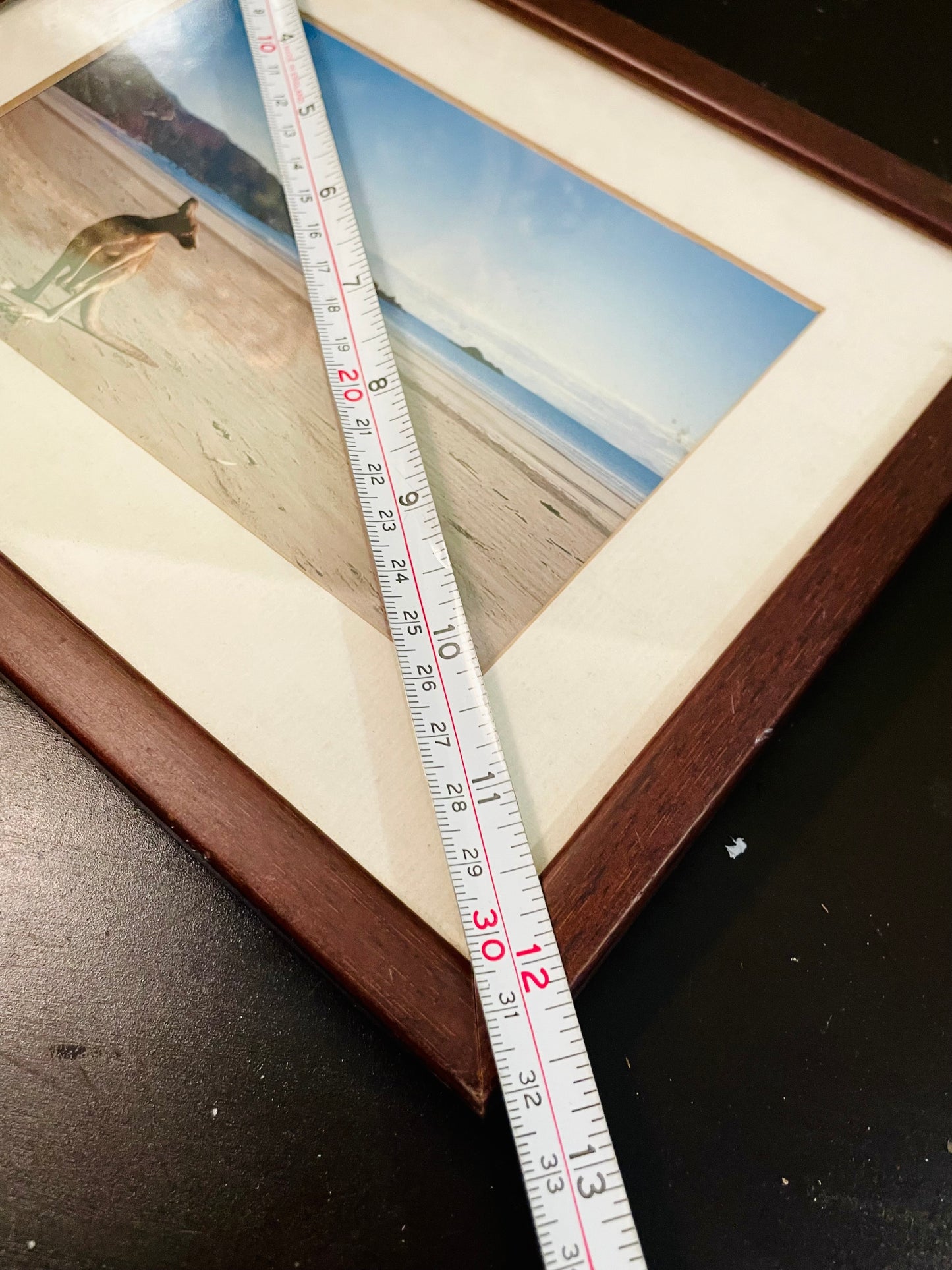 Framed Kangaroo Beach Photo Wall Art 13 Inch