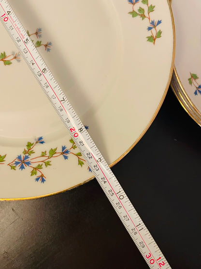 Limoges Floral Porcelain Plate Set of 8 with Gold Trim