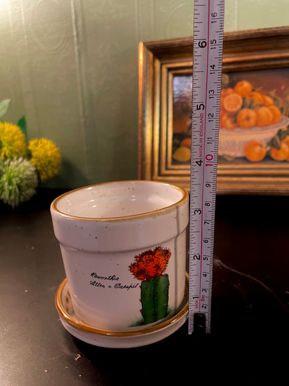 Ceramic Cactus Plant Pot with Saucer 3.5 Inch