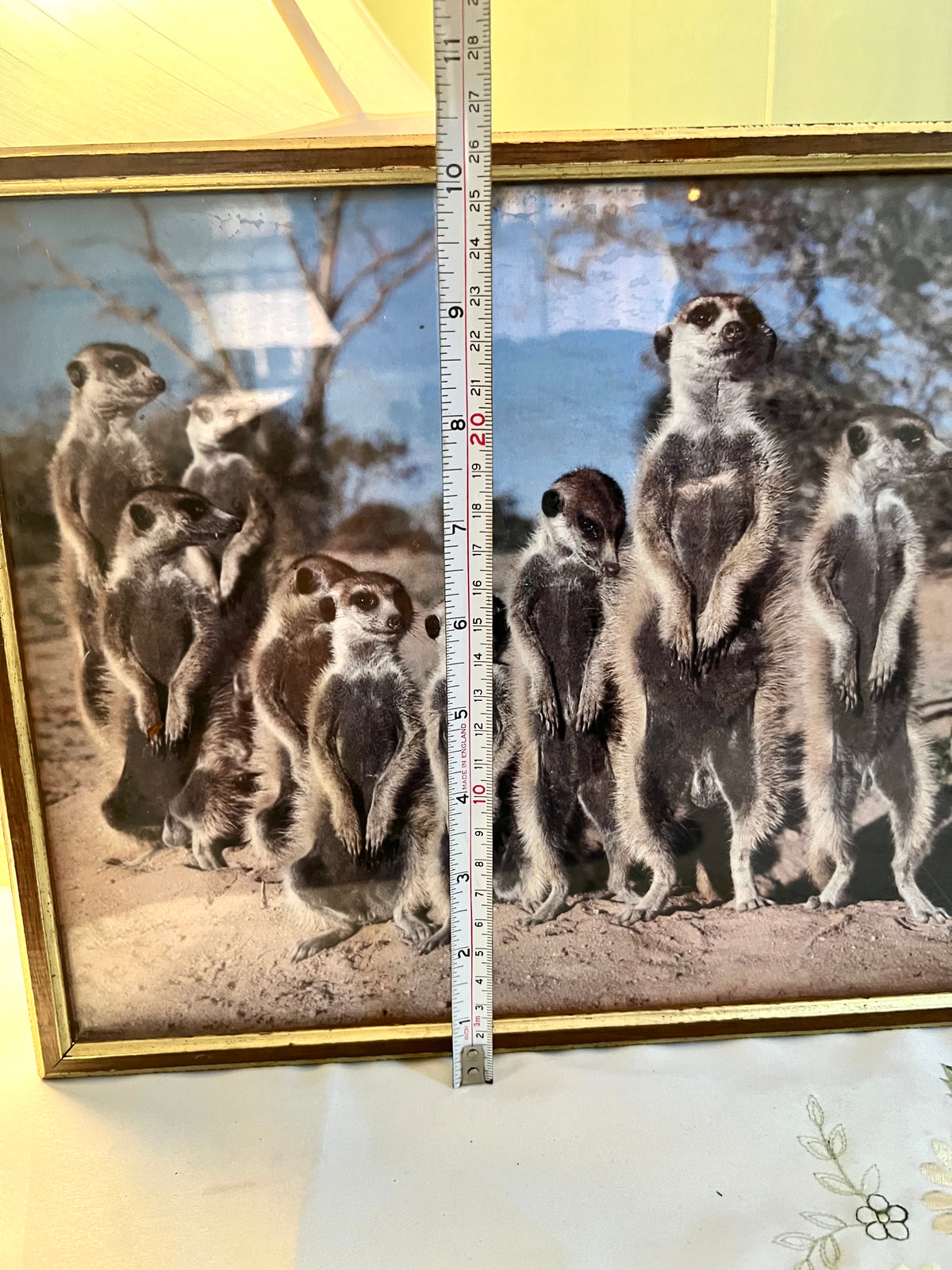 Vintage Framed Meerkat Wildlife Print Gold-Tone Frame 34 × 27cm
