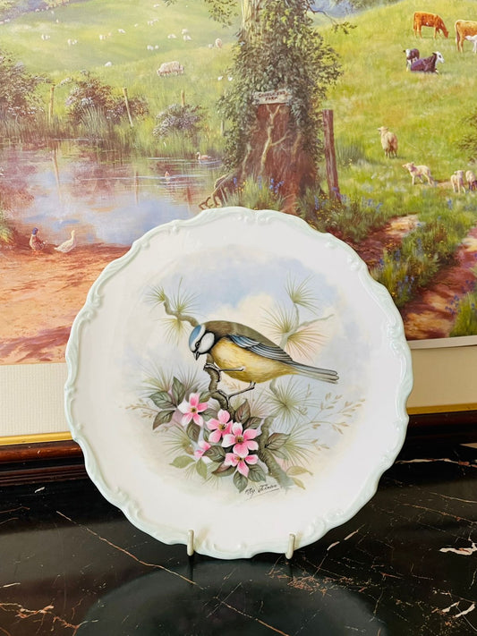 rare thrift finds, vintage collection England, Royal Albert collector plate, Woodland Birds Collection 1982, Reginald A Johnson plate, Blue Titmouse bird plate, bone china art plate, English collectible china, heritage European treasures, vintage wall display plate, rare Royal Albert decor
