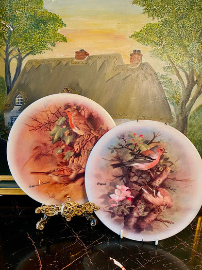 Set of 2 Bird Decor Plates – Robin & Dunnock, and Chaffinch Designs (Approx. 8 Inches Each)
