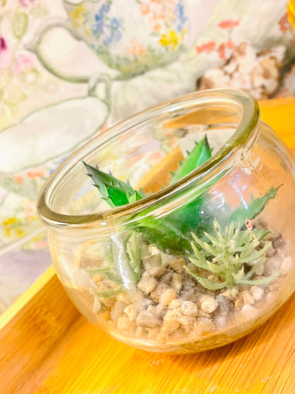 Artificial Succulent in Glass Pot – Faux Plant for Home Decor