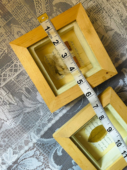 Set of 2 - Shadow-Box Wall Art Set – Natural Leaf & Feather Décor