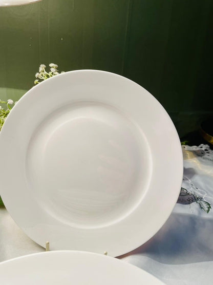 Royal Worcester Serendipity Fine Bone China Plates 8 in