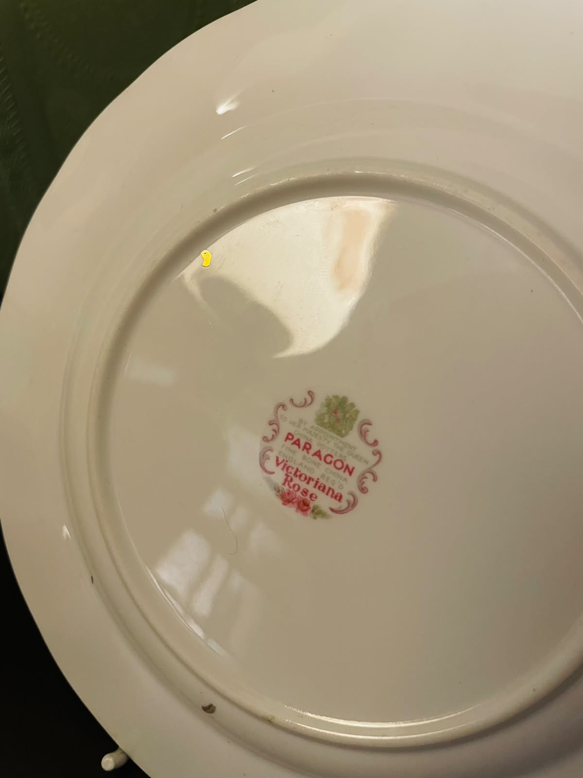 Paragon Victoriana Rose Bone China Plate England