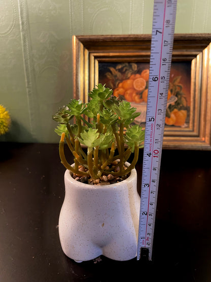 Artificial Succulent in Novelty Body Planter 6 Inch