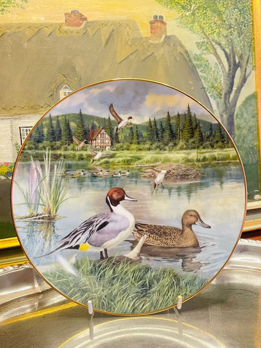 1986 Knowles “The Pintail” Wall Plate – Bart Jerner Collectible Art