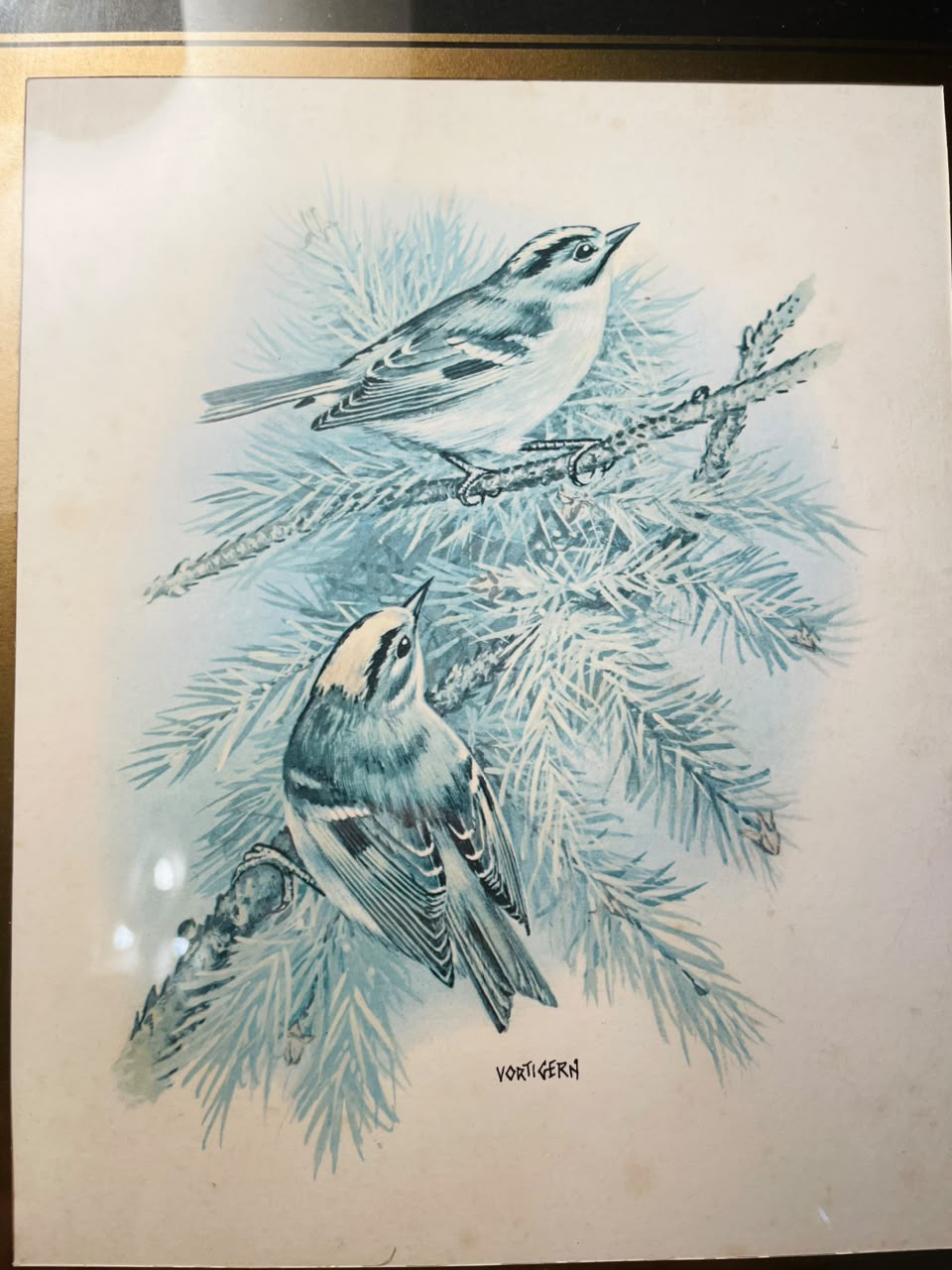 Blue Bird Framed Artwork Brown Frame Approx. 30 cm