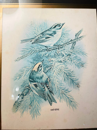 Blue Bird Framed Artwork Brown Frame Approx. 30 cm