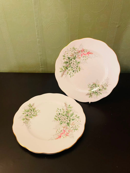 Royal Albert Floral Bone China Decor Plate 6.3 Inch