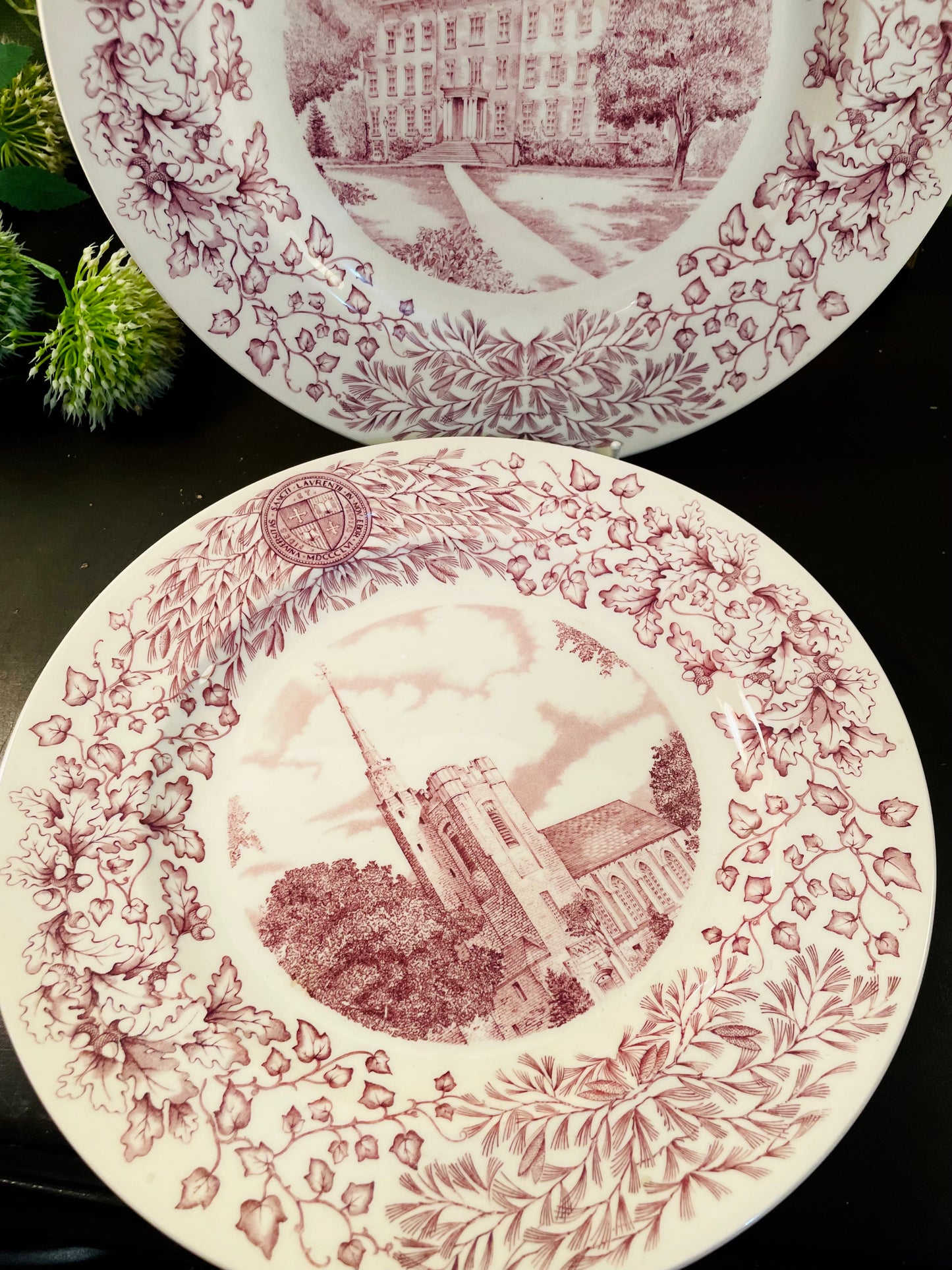 Wedgwood St. Lawrence University Collector Plate 10 Inch – Choose Design