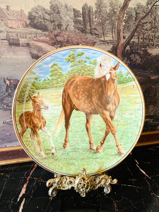 Edwardian fine bone china plate, horse and foal collector plate, equestrian wall decor, English countryside porcelain, vintage horse lovers gift, collectible animal plate, bone china England, rare thrift finds Pakistan, vintage pastoral crockery, European vintage collection