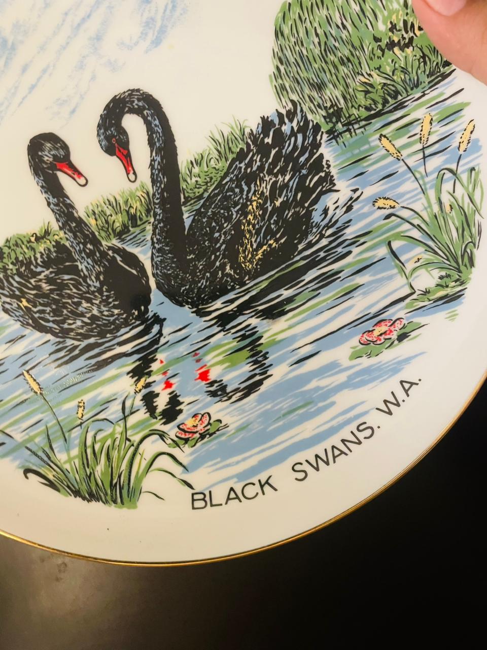 Cygnet Black Swans W.A. Westminster Australia Plate 9"