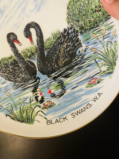Cygnet Black Swans W.A. Westminster Australia Plate 9"