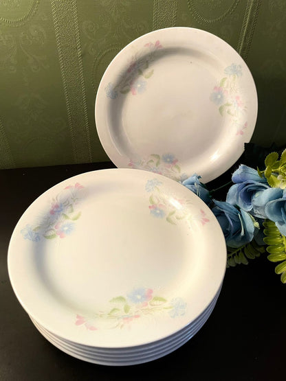 Royal of Japan Pastel Floral Plates Set of 6
