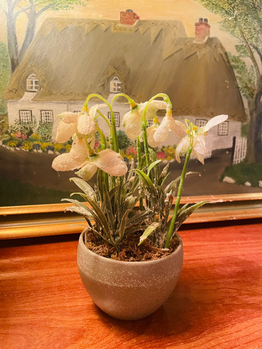Flower Pot | Vase | Home Decor