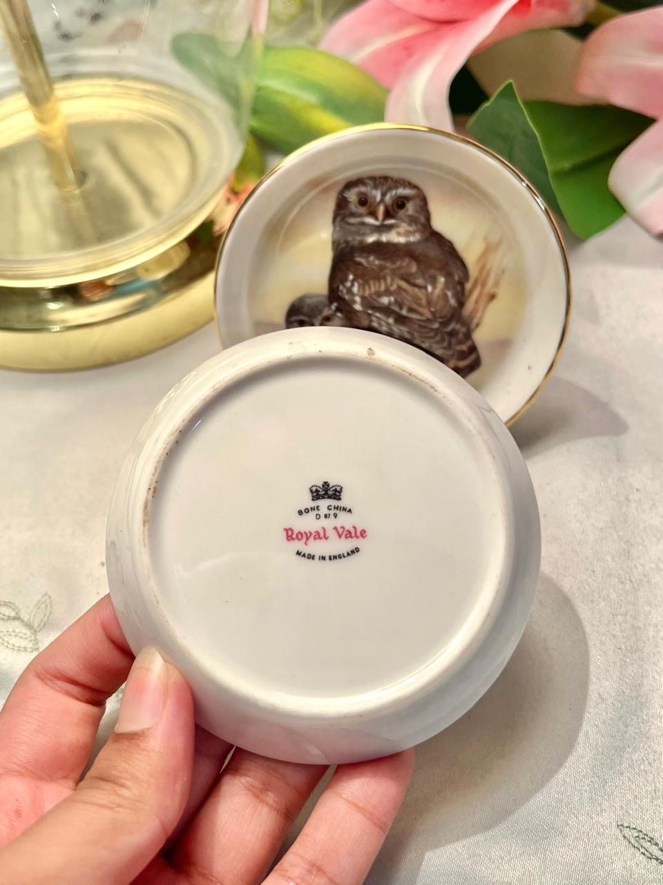 Royal Vale Bone China Owl Decorative Plate  Pair 3.5 in
