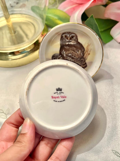 Royal Vale Bone China Owl Decorative Plate  Pair 3.5 in