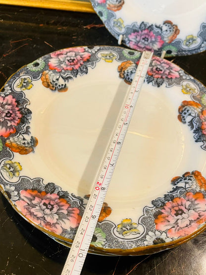 Set of 6 Vintage Cambridge Royal Semi-Porcelain Dinner Plates – Wood & Son England