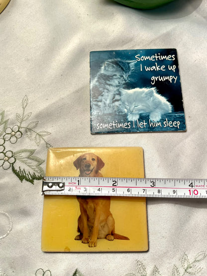 Cat & Dog Novelty Fridge Magnets – 2 Piece Set