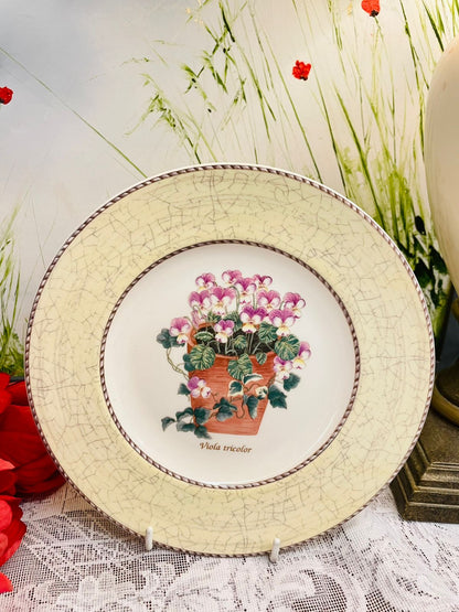Wedgwood Sarah’s Garden Viola Tricolor Plate 8 in