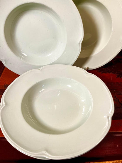 Johnson Bros Greendawn 8.5 Inch Rim Soup Bowls | Made in England | Set of 4