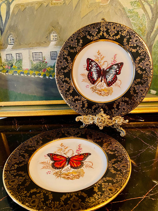 Set of 2 Vintage Butterfly Decorative Plates – Black & Gold Ornate Border – 8 Inches